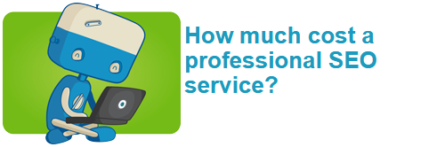 How much cost a professional SEO service?