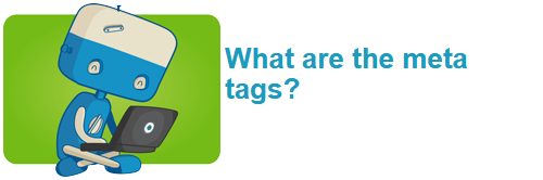 What are the meta tags?